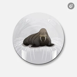 Walrus Animal | 4'' X 4'' Round Decorative Magnet - Picture 1 of 2