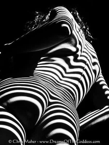 Fotografía impresa abstracta de rayas cebra mujer desnuda bellas artes en blanco y negro 2070-AK por Maher - Imagen 1 de 1