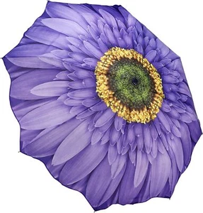 Galleria Purple Daisy Auto-Open/Close Extra Large Portable Rain Folding Umbrella - Picture 1 of 2