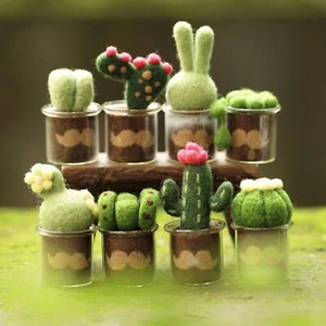 8 Cactus with Glass Pots Needle Felting Kits for Beginner Craft Kit Mother’s Day - Picture 1 of 10