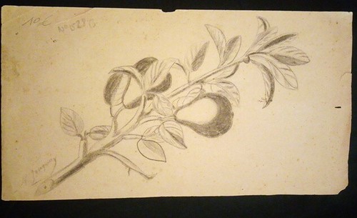 Picture 1 of 10