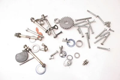 1974 - 75 Hodaka Road Toad Model 99 Misc Bolts, Washers Screws for Rebuild P2240 - Image 1 of 4