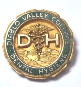 Vintage10K Gold D V College D H Pin Badge Brooch 5.2g - Picture 1 of 5