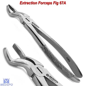 Tooth Extraction Surgical Extracting Forceps Upper Wisdom Forceps Fig. 67 Dental - Picture 1 of 5