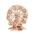 Ferriswheel Wheel Puzzle Toys Assembly Puzzle Crafts for Kids Teens Gift