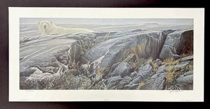 Oso polar Robert Bateman edición limitada impresión firmada "Paisaje ártico" - Imagen 1 de 3