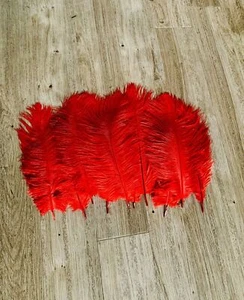 10x Ostrich Feathers Red - Picture 1 of 3