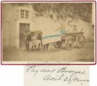Basques peasants on bull cart France Spain antique cabinet photo