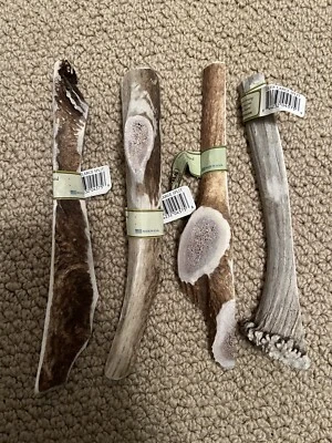 Prairie Dog Pet Products Elk Antler Treat, X-Large Split Bundle of 4, XL Size - Image 1 of 4