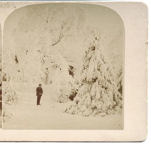 1893 Stereoview Niagara Falls Winter Scene, Strohmeyer & Wyman, Underwood - Picture 1 of 2