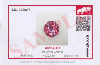 GFCO GEM LAB® Swiss Gem Certificate – Professional Gemological Report Card - Image 1 of 4