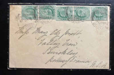 Cubierta de luto en casa Ladour India 1913 para mujer a Sewickley PA EE. UU. Foto 1 de 2