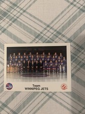 1985-86 WINNIPEG JETS POLICE SAFETY SET