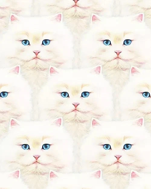 Persian Cats Whiskers & Tails ONE YARD 100% Cotton Quilting Fabric  92x112cm - image 1 of 1