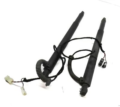 BMW X6 (E71) 2011 maletero trasero izquierdo y derecho husillo eléctrico juego de puntales de choque Foto 1 de 4