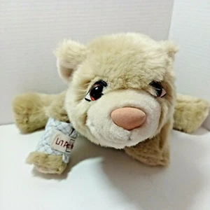 Juguete oso de peluche bronceado Li'l Pet Hospital 15"" con X 13"" L peluche animal pata roja - Imagen 1 de 12
