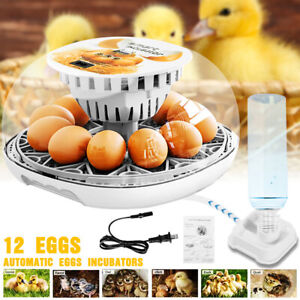 Inkubator jaj 12 Inkubator jaj z automatycznym obracaniem jaj Automatyczny widok 360