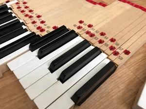 Kurzweil 250 original keys 1pc - Picture 1 of 5