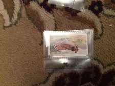 U1-4 cigarette card Foreign Birds - Ogdens 1924 no 22