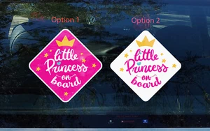 Little Princess on board Baby on board Funny Car Safety Decal Vinyl Sticker - Picture 1 of 1