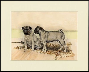 PUG TWO DOGS CHARMING DOG PRINT MOUNTED READY TO FRAME - Picture 1 of 1