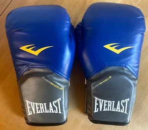 Everlast 12oz Training Gloves / Evershield - Picture 1 of 6