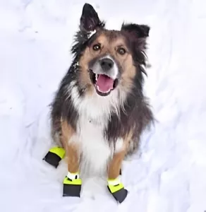 wilderdog boot/shoes for dogs size large *BRAND NEW* Great for all seasons! - Picture 1 of 3