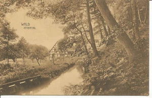 PC32088 Wald Ittertal - Bild 1 von 2