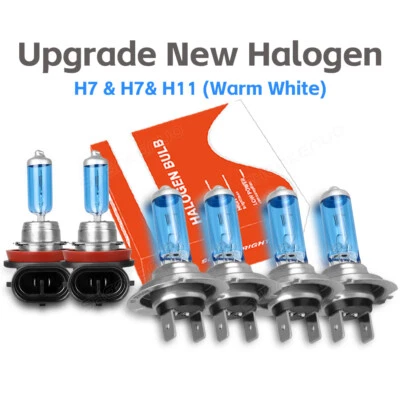 Bombilla halógena + luz antiniebla para BMW 525i 530i 540i 2001-2003 6x blanco cálido Foto 1 de 4