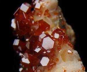 VANADINITE crystals on BARYTE -- beautiful cluster !!! MOROCCO Mibladen /pl738 - Picture 1 of 12