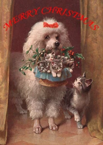 POODLE WITH CAT AND KITTENS SINGLE DOG PRINT GREETING CHRISTMAS CARD - Foto 1 di 1