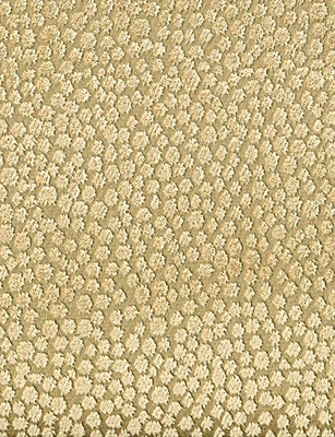 TELA DE TERCIOPELO JACQUARD CONCHA CHAMPAGNE POLLACK & ASSOCIATES 51" POR LA YD Foto 1 de 4
