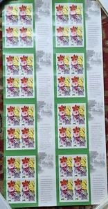 USPS La Florida Forever Stamps (6) Continuous sheet of 16 each sheet Mint (NEW) - Picture 1 of 2