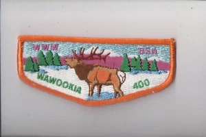 Lodge 400 Wawookia S-6a OA flap - Picture 1 of 1