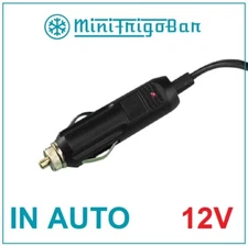 Frigorifero Mini Frigo Portatile Piccolo da Viaggio Elettrico a 12 VOLT in Auto