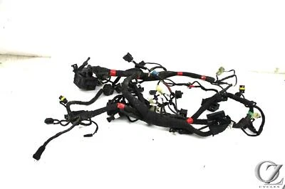 15 Ducati Monster 1200s 2015 arnés de cable principal telar Foto 1 de 4
