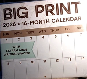 2026 GROSSDRUCK Wandkalender 20" x 11" extra große Schreibbereiche SCHNELLE LIEFERUNG - Bild 1 von 2