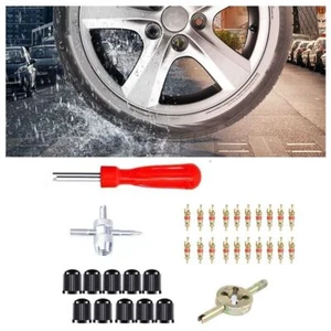 33Pcs Multi Function Tire Valve Stem Installer Tool Set - Picture 1 of 12