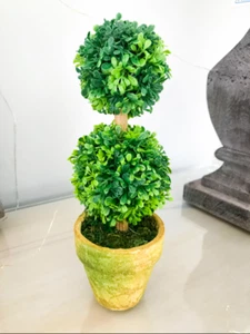 Mini Cute Topiary Boxwood Double Ball Tree In Pot - Picture 1 of 2