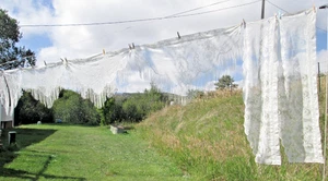 Lot 7 Valence (3 Pairs) Ascot Lace Curtain Panel White Ivory Floral Tasseled - Picture 1 of 20