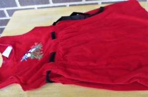 Vestido para niñas National Wildlife Federation XL rojo algodón terciopelo pájaros cosido - Imagen 1 de 8