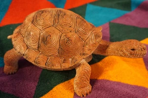 Tortoise Replica - Realistic AAA - PVC - Picture 1 of 7