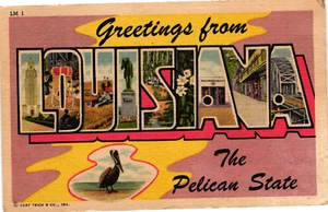 Vintage 1957 Greetings from Louisiana the Pelican State Postcard POSTED - Picture 1 of 2