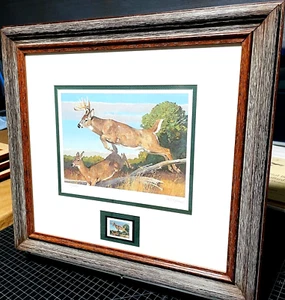 Bob Kuhn 1982 Boone And Crockett Stamp Print With Stamp - Brand New Frame - Picture 1 of 4