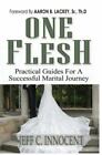 One flesh: practical guides for a successful marital journey