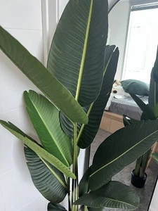 Set of 2 Fake Plants 5 Feet Tall Artificial Fern Trees Bird of Paradise NEW! - Picture 1 of 7