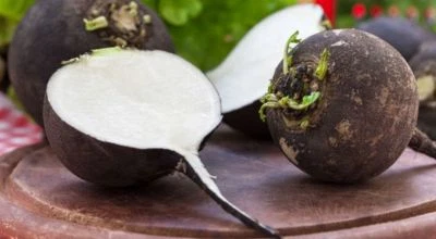 250 Graines de Radis Noir gros rond d'hiver jardins - semences paysannes - Photo 1/3