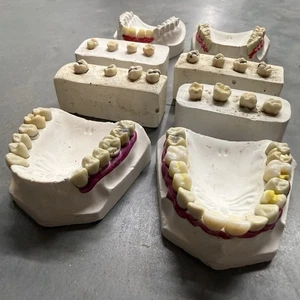 Lotto modellini dentista/dentista vintage gesso stranezze decorazione Halloween - Foto 1 di 14