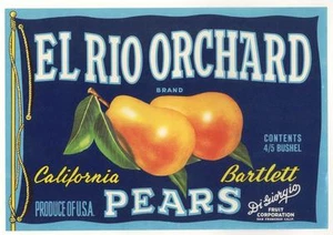 *Original* EL RIO ORCHARD San Francisco DI GIORGIO Pear Label NOT A COPY! - Picture 1 of 1