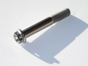 Titanium Metric Brake Caliper, Frame or Engine Bolt Screw Size - M10 x 85mm - Picture 1 of 2